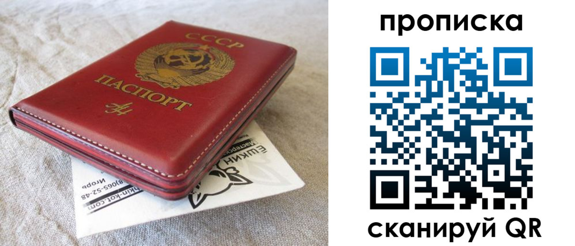 прописка для школы в Абдулино
